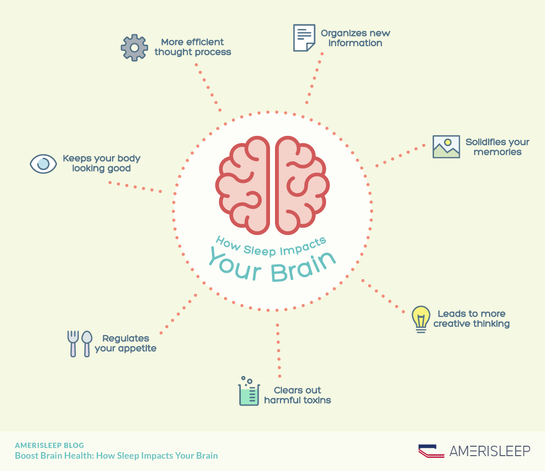 Reasons why people need sleep infographic