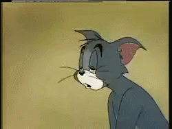 Sleepy cat gif
